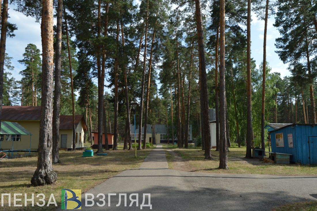 В Пензенской области летом будут работать 20 загородных лагерей