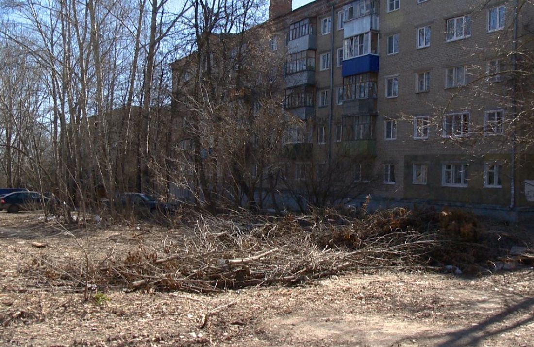 В Пензе на улице Пацаева лежит куча вырубленных деревьев