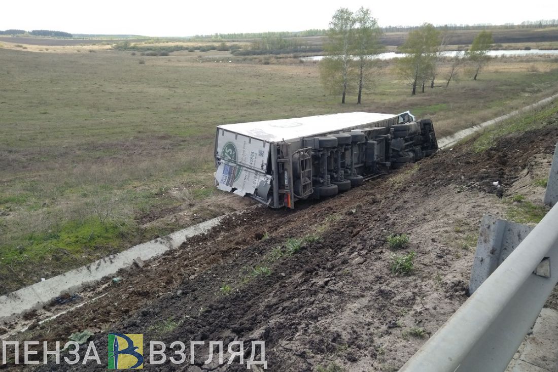 «Остановилось сердце». Обсуждаются возможные причины съезда в кювет фуры под Пензой