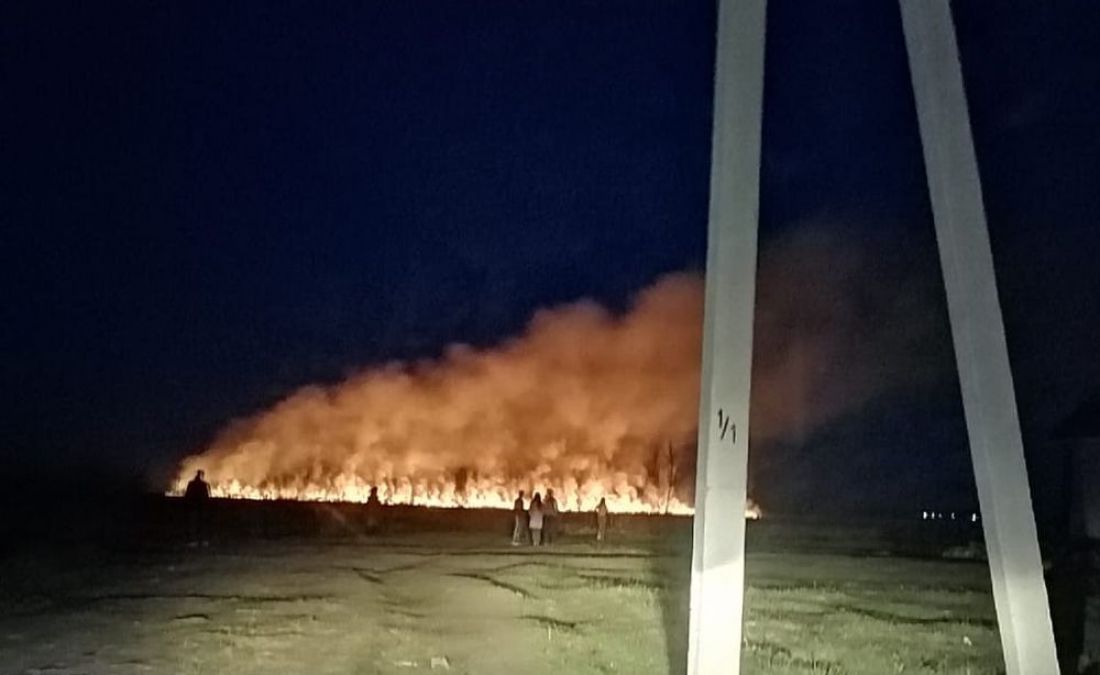 В райцентре Пензенской области в темное время суток загорелось поле