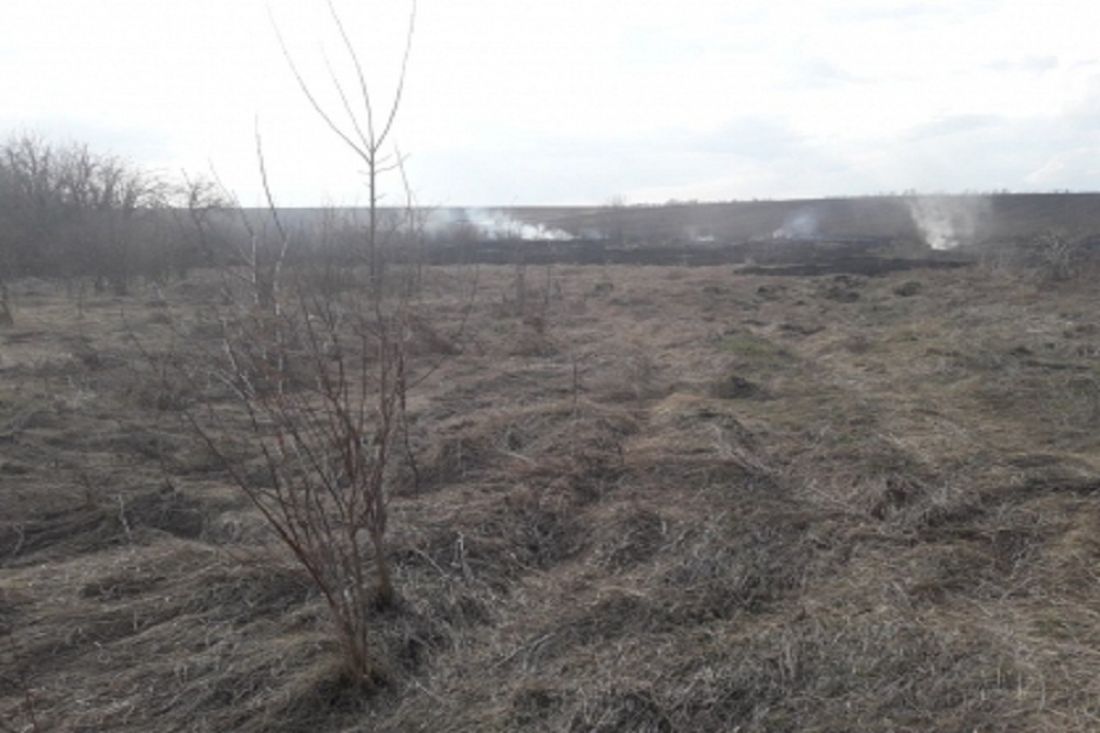 Появились подробности гибели мужчины на загоревшемся поле в Пензенской области